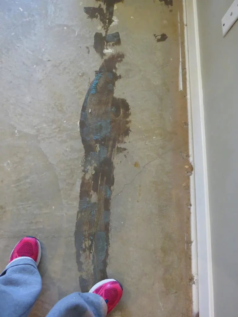 Glue residue left on the concrete floor after removing carpet padding.
