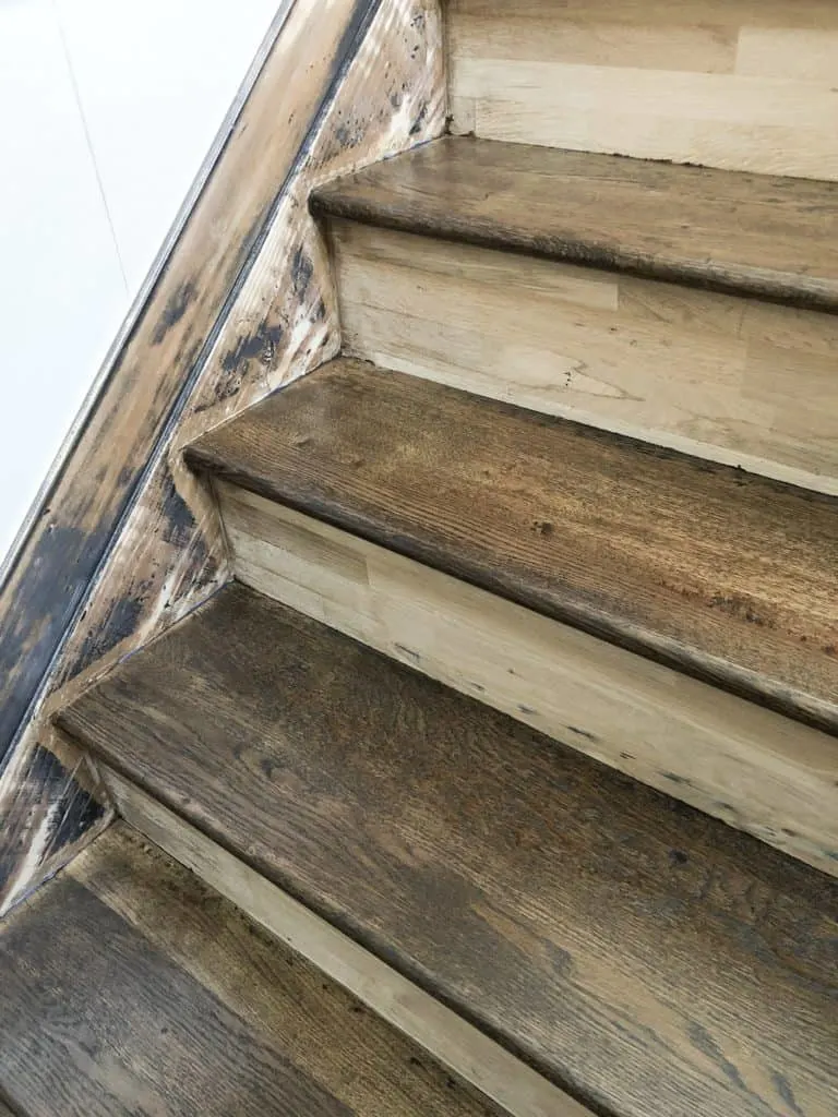 the steps have been stained, the risers are bare wood still