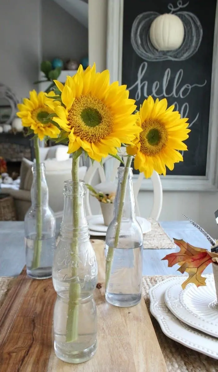 Sunflowers in a been bottle vase.
