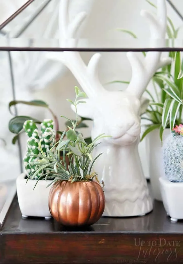 A white reindeer head next to a plant and a copper pumpkin with an air plant in it.