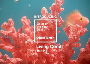 Pantone paint color of the year, living coral, which is a orangy red color.