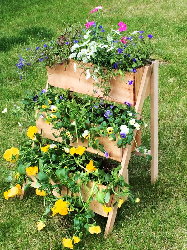 A three tiered window box with flowers spilling out of it.