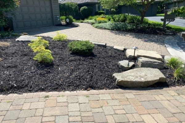 The after shot of my landscape with rocks and new lighting.