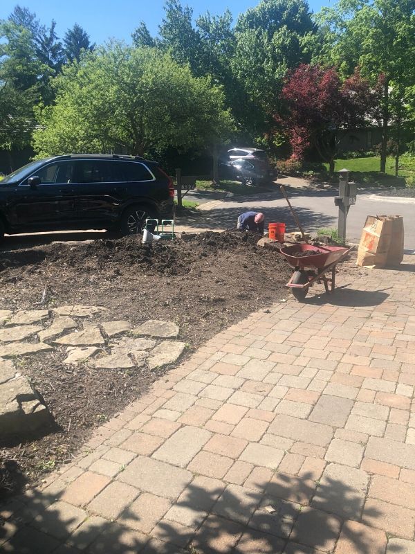 Once all the bushes and weeds are out now we are removing some of the dirt to lower the ground level.