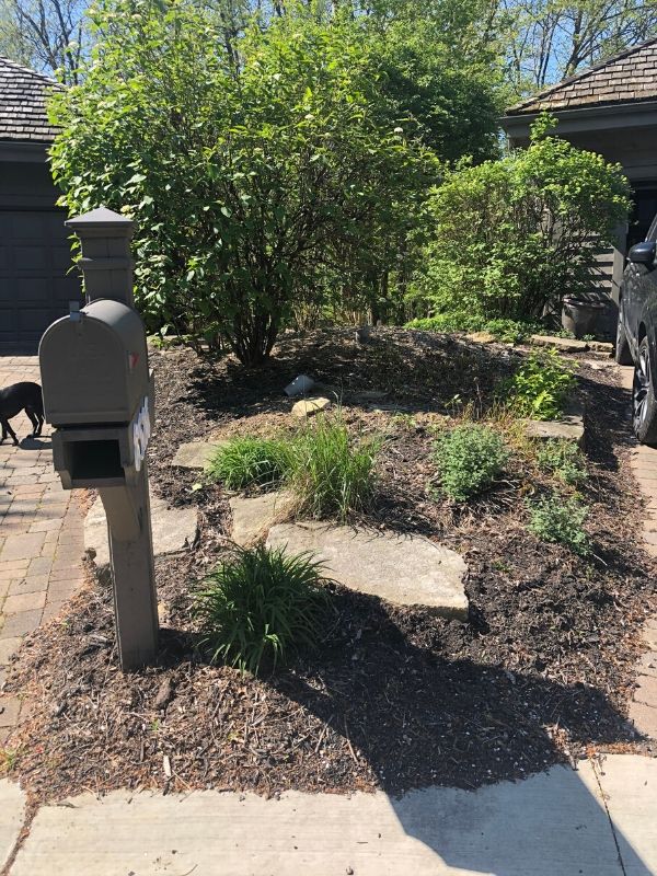 The before picture of my jungle like landscape between my driveway and my neighbor's driveway.