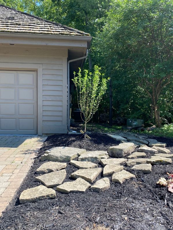 The after of replacing an overgrown bush with a new tree and landscaping with rocks.