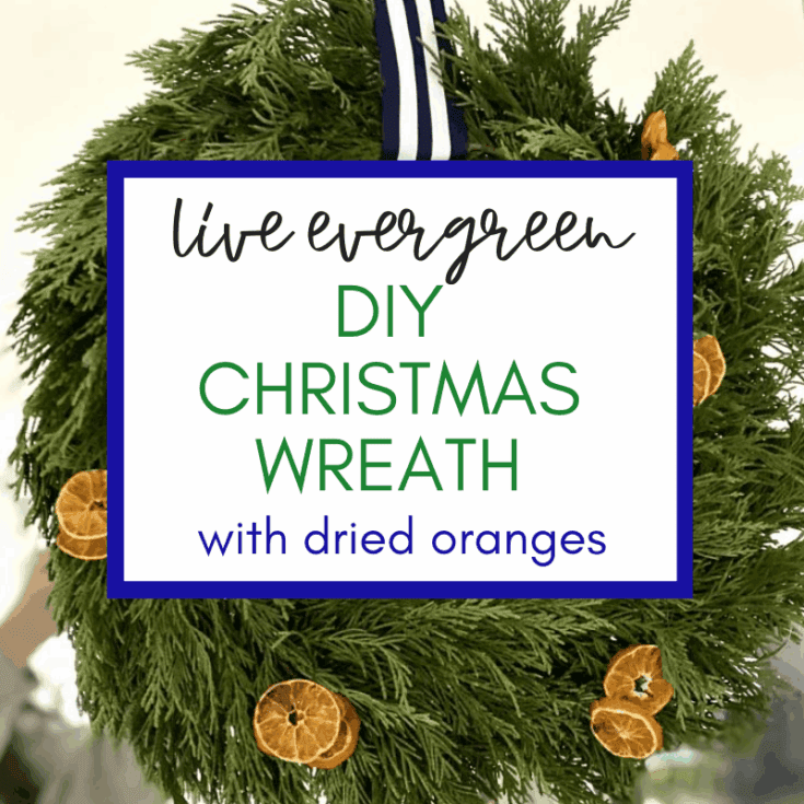 Image for Easy DIY Evergreen Wreath with Dried Oranges