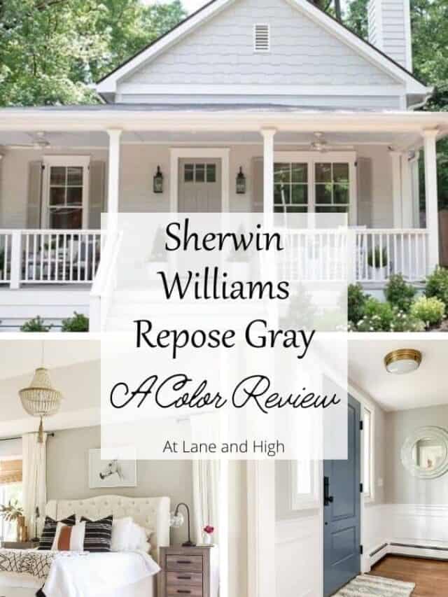 Repose Gray by Sherwin Williams