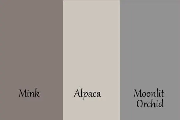 A side by side comparison of Mink, Alpaca, and Moonlit Orchid.