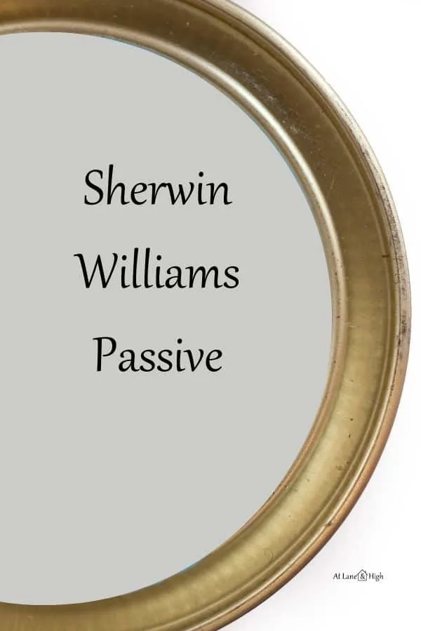 Sherwin Williams Passive pin for Pinterest.