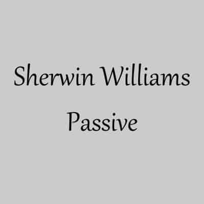 Is Sherwin Williams Passive the Best Cool-Toned Gray?
