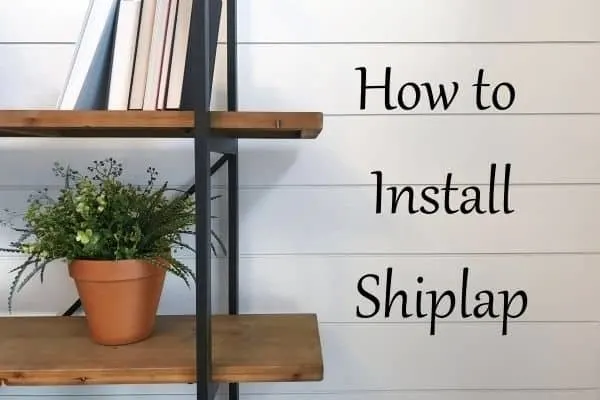 Shiplap walls behind a book case with wood shelves and a plant.