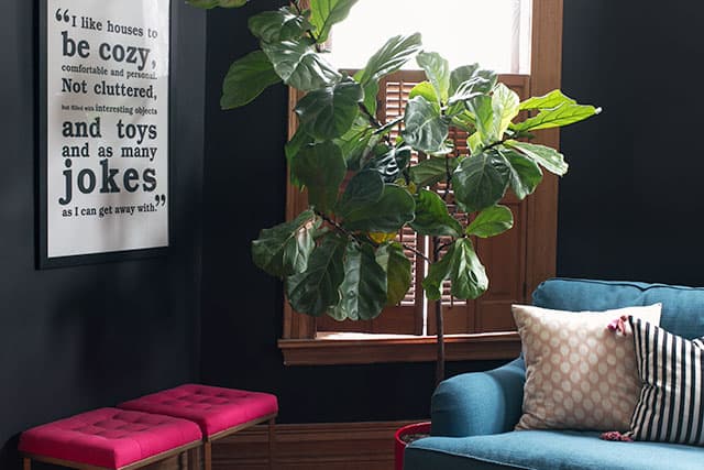 A family room with black beauty on the walls with a teal couch, fuschia stools and a wood shuttered window.