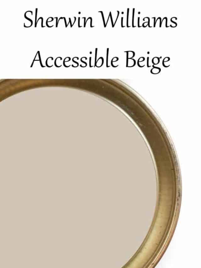 Accessible Beige by Sherwin Williams