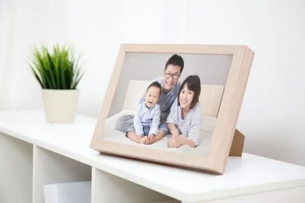 White shelves with a framed family photo and a plant next to it.