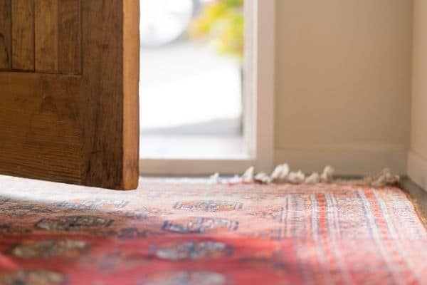 A red patterned rug at the front door and the door is ajar.