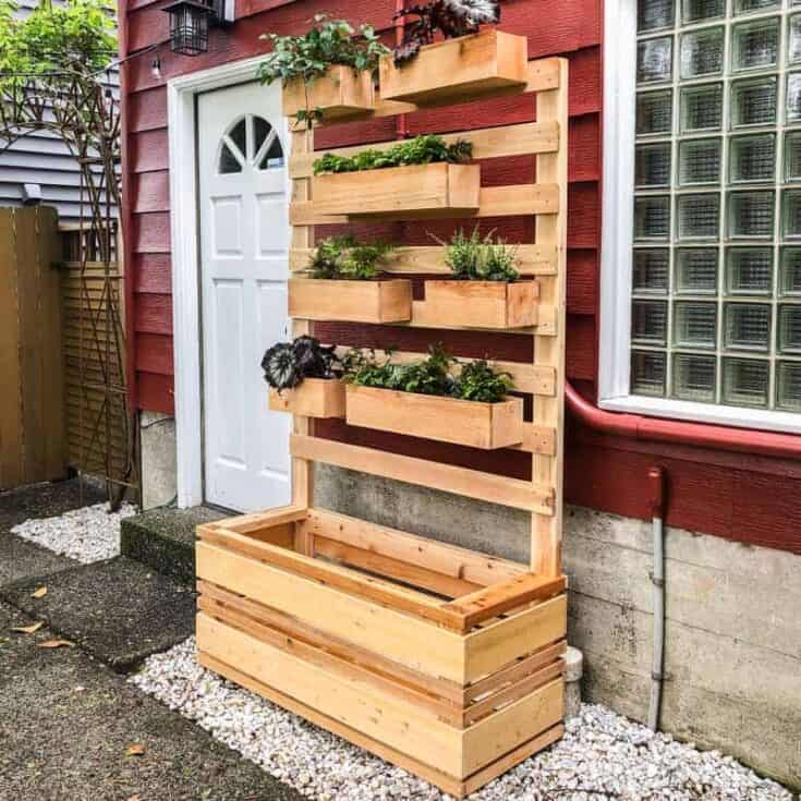Image for DIY Vertical Garden Wall Planter with Plans
