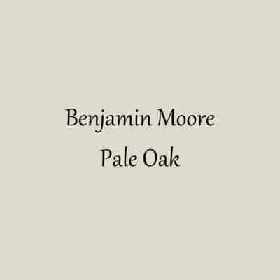 A swatch of Benjamin Moore Pale Oak.