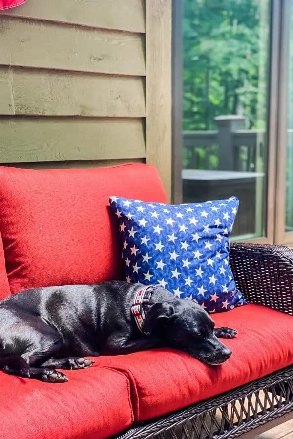 The pillow on my outdoor couch with my dog sitting right next to it.