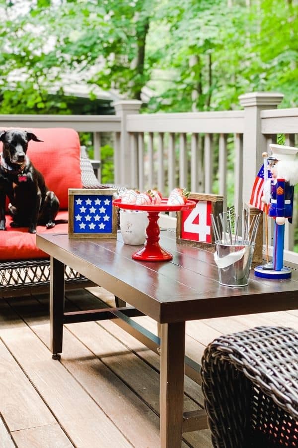 A view of the table with farmhouse signs, a marine nutcracker and my dog sitting on a chair in the background.