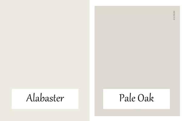 A side by side of Alabaster and Pale Oak which is a greige paint color.