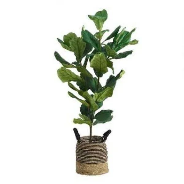 A faux fiddle leaf fig tree in a woven basket with a white background.