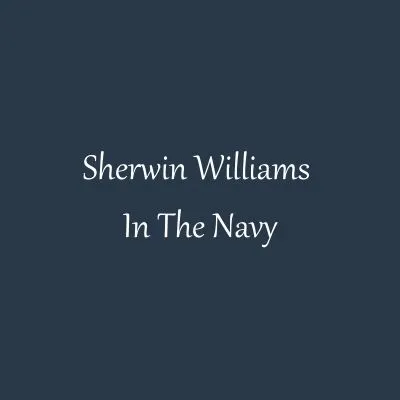 Sherwin Williams In The Navy color swatch.