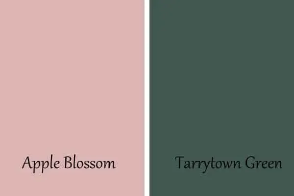 A side by side of Apple Blossom and Tarrytown Green.