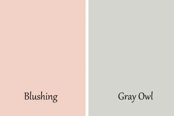 A side by side of Blushing and Gray Owl.