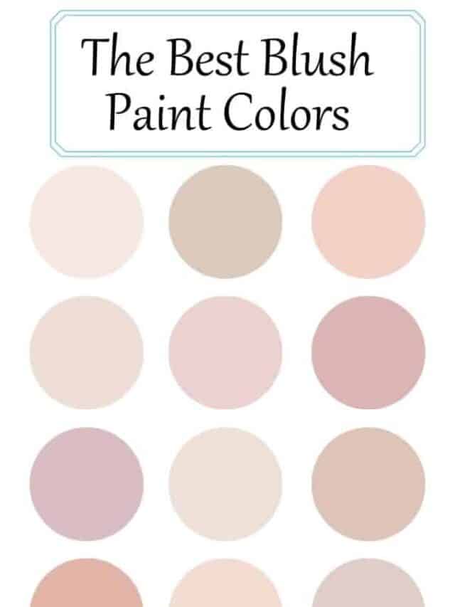 Best Blush Paint Colors