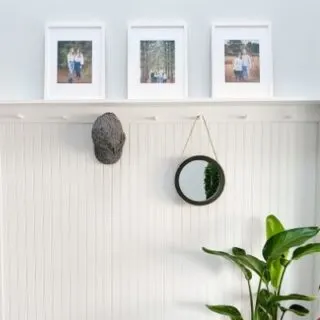A beadboard wall with a shelf holding family photos and a plant in front of the wall.
