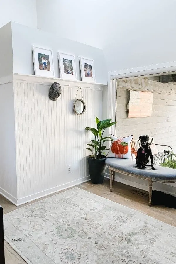 My entryway with a beadboard wall, hardwood floors with a light colored rug and a bench in front of the window with my black dog sitting on the bench.