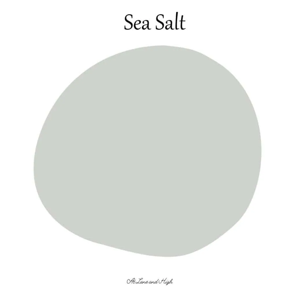 This is a paint swatch of Sea Salt.