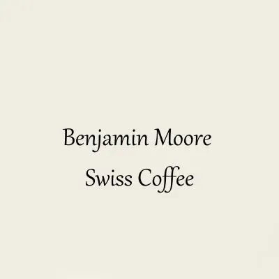 A swatch of Benjamin Moore Swiss Coffee.