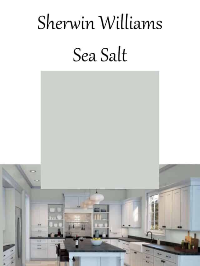 Sea Salt by Sherwin Williams