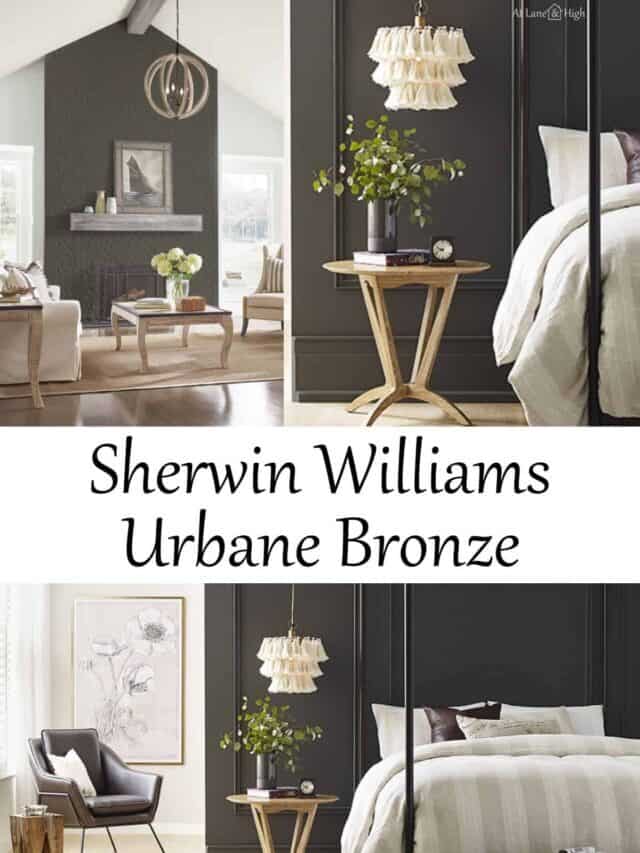Urbane Bronze by Sherwin Williams