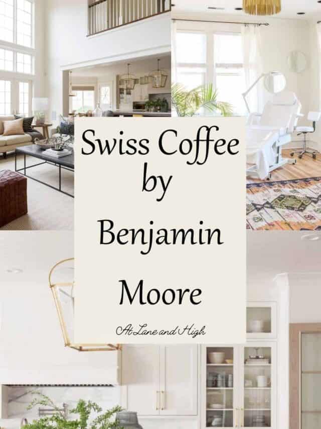 cropped-Swiss-Coffee-pin.jpg