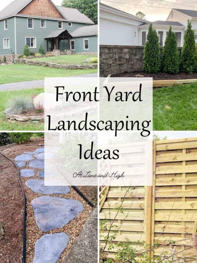 cropped-front-yard-landscaping-ideas.jpg