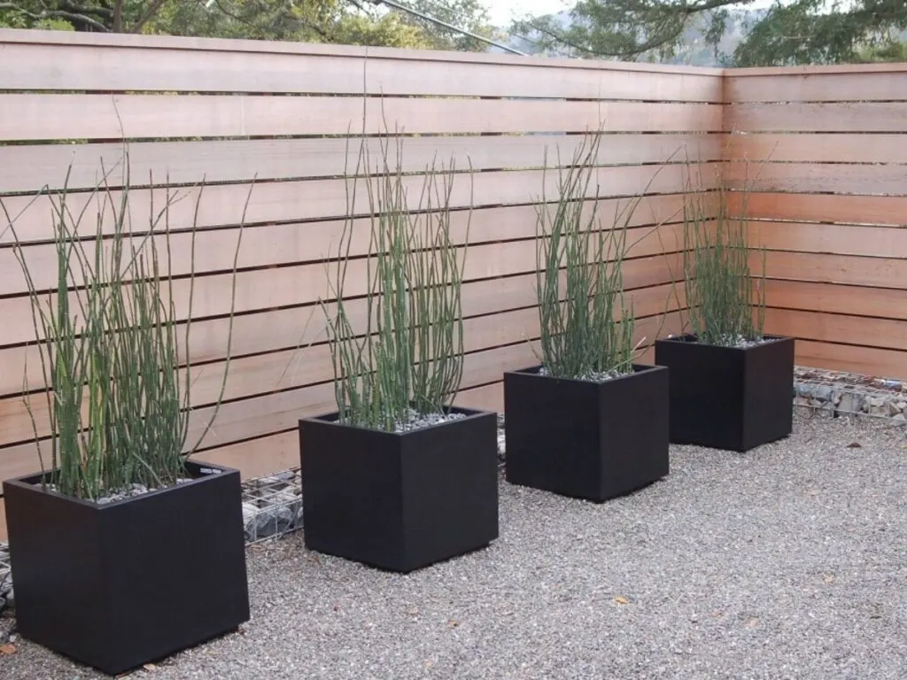 A horizontal fence surrounding a patio with black planters and tall plants in them.