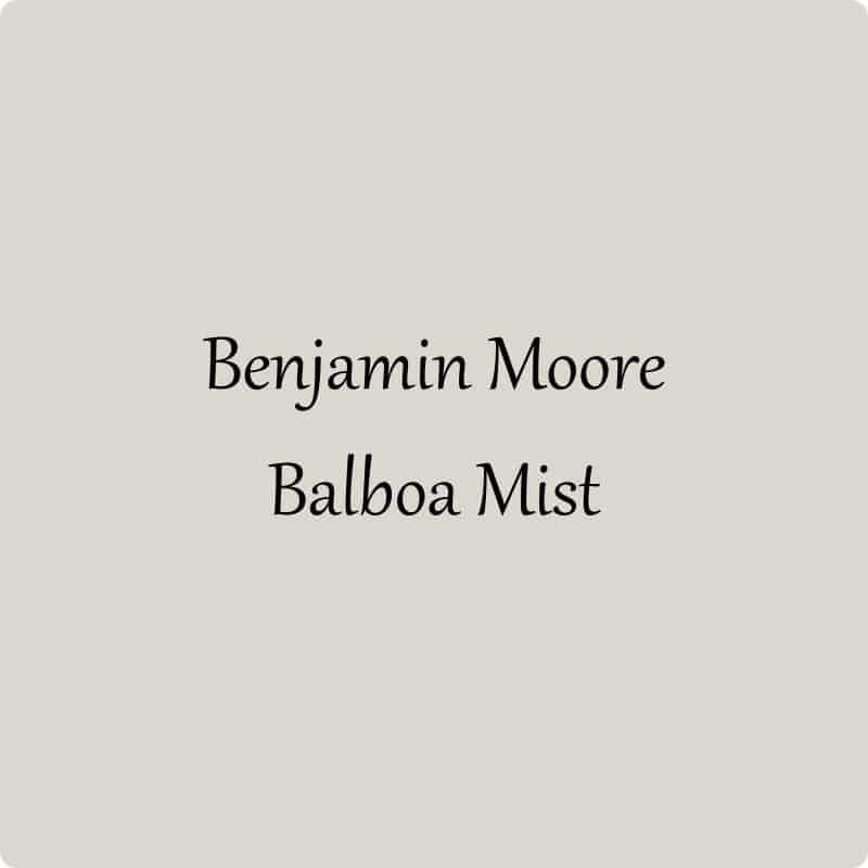 A swatch from Benjamin Moore of Balboa Mist.