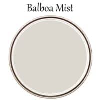 cropped-Balboa-Mist-pin.jpg