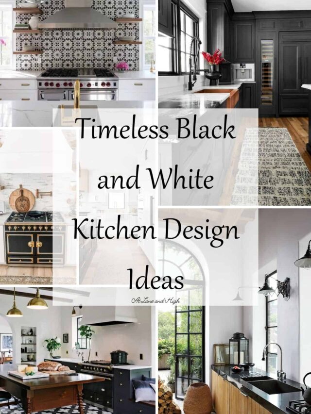 Black and White Kitchen Design Ideas