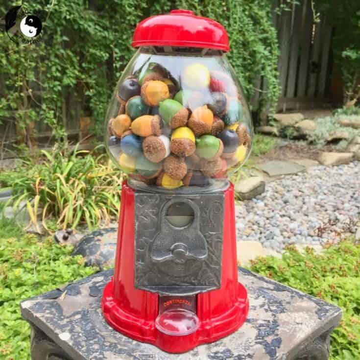 Image for Acorn Craft  Fall Decor Acorn DIY