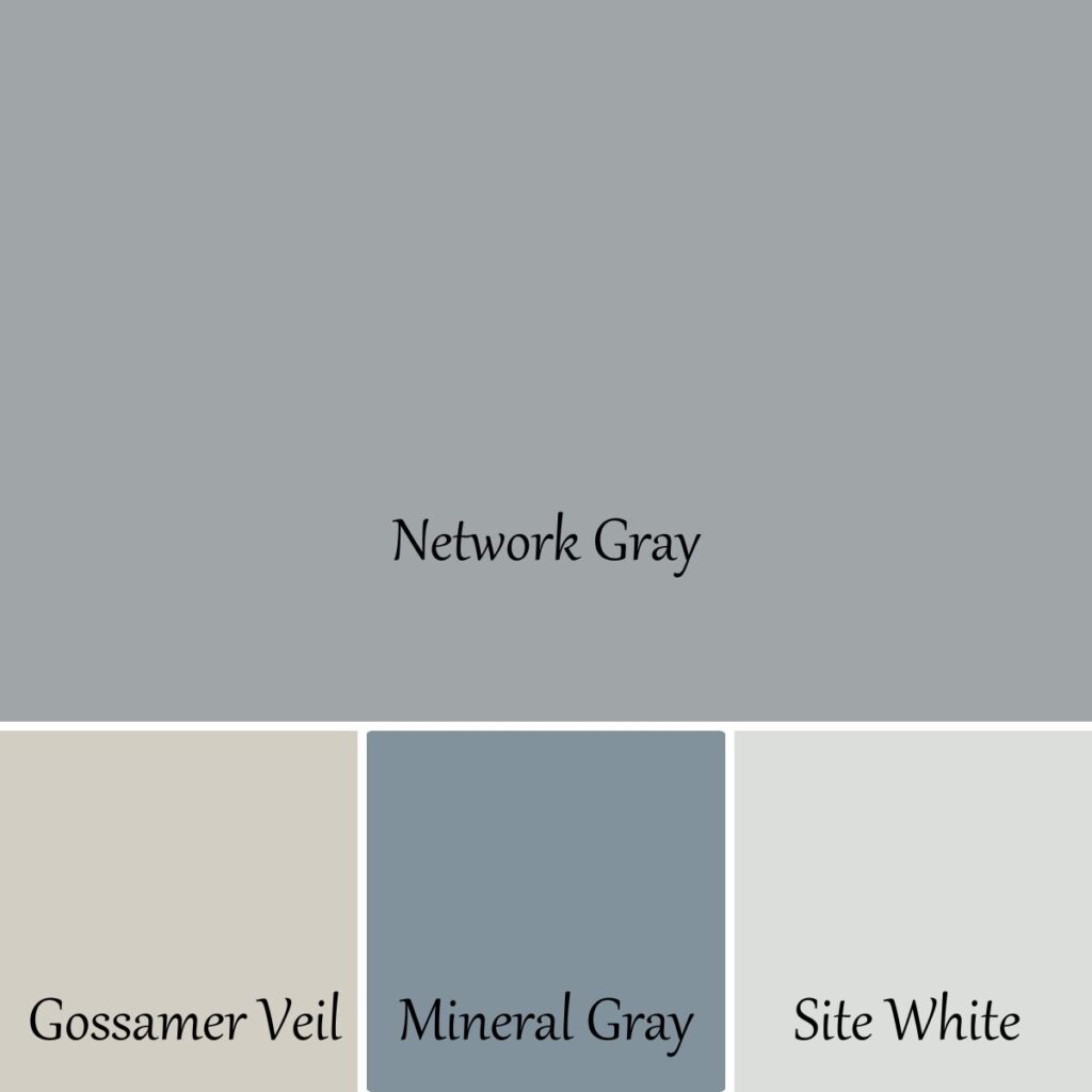 Swatches of Network Gray and coordinating colors with text overlay.