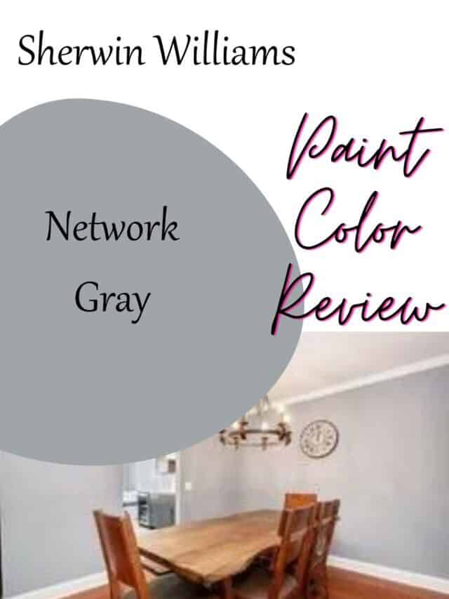 Network Gray by Sherwin Williams