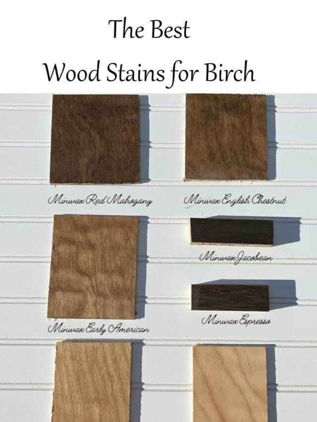 The Best Wood Stain Colors for Birch Plywood