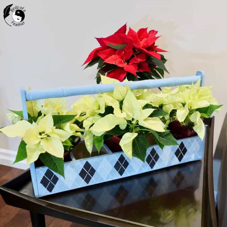 Image for Wooden Planter Box DIY  Christmas Centrepiece