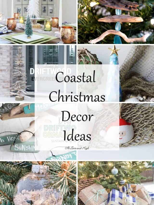 cropped-Coastal-Christmas-Decor-Ideas.jpg