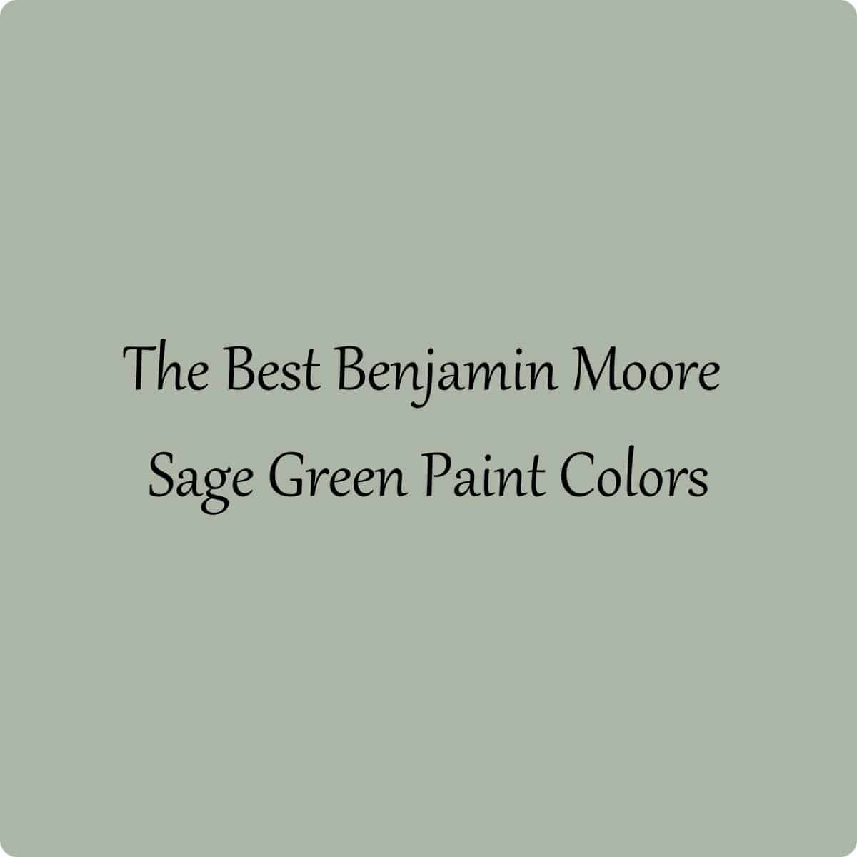 The 9 Best Benjamin Moore Sage Green Paint Colors