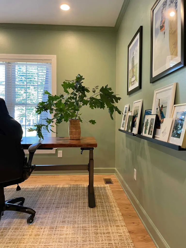 Coastal Plain on the walls of an office with a wood desk, a picture ledge with family photos and a large leaf plant.